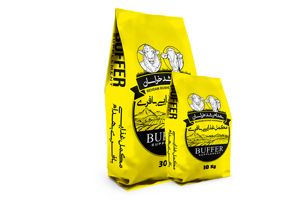 ملحق عازلة
