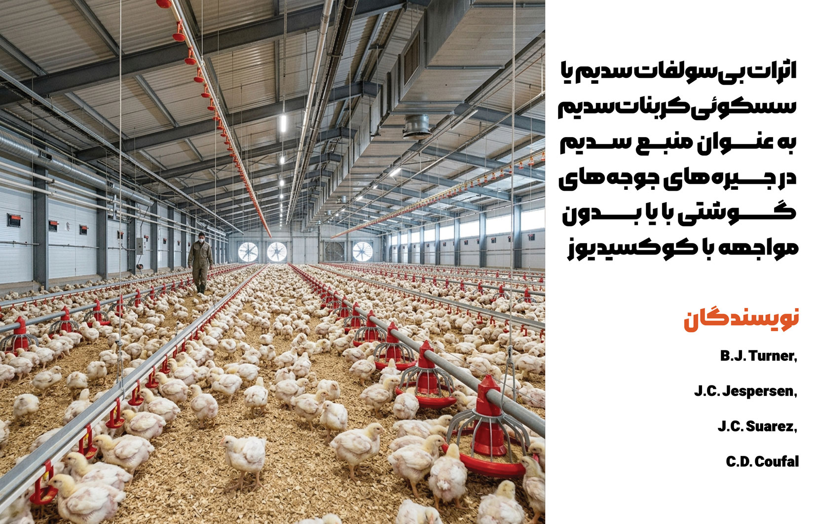 ضدکوکسیدیایی و روشهای متداول ضدمیکروبی، پژوهشگران و صنعت طیور