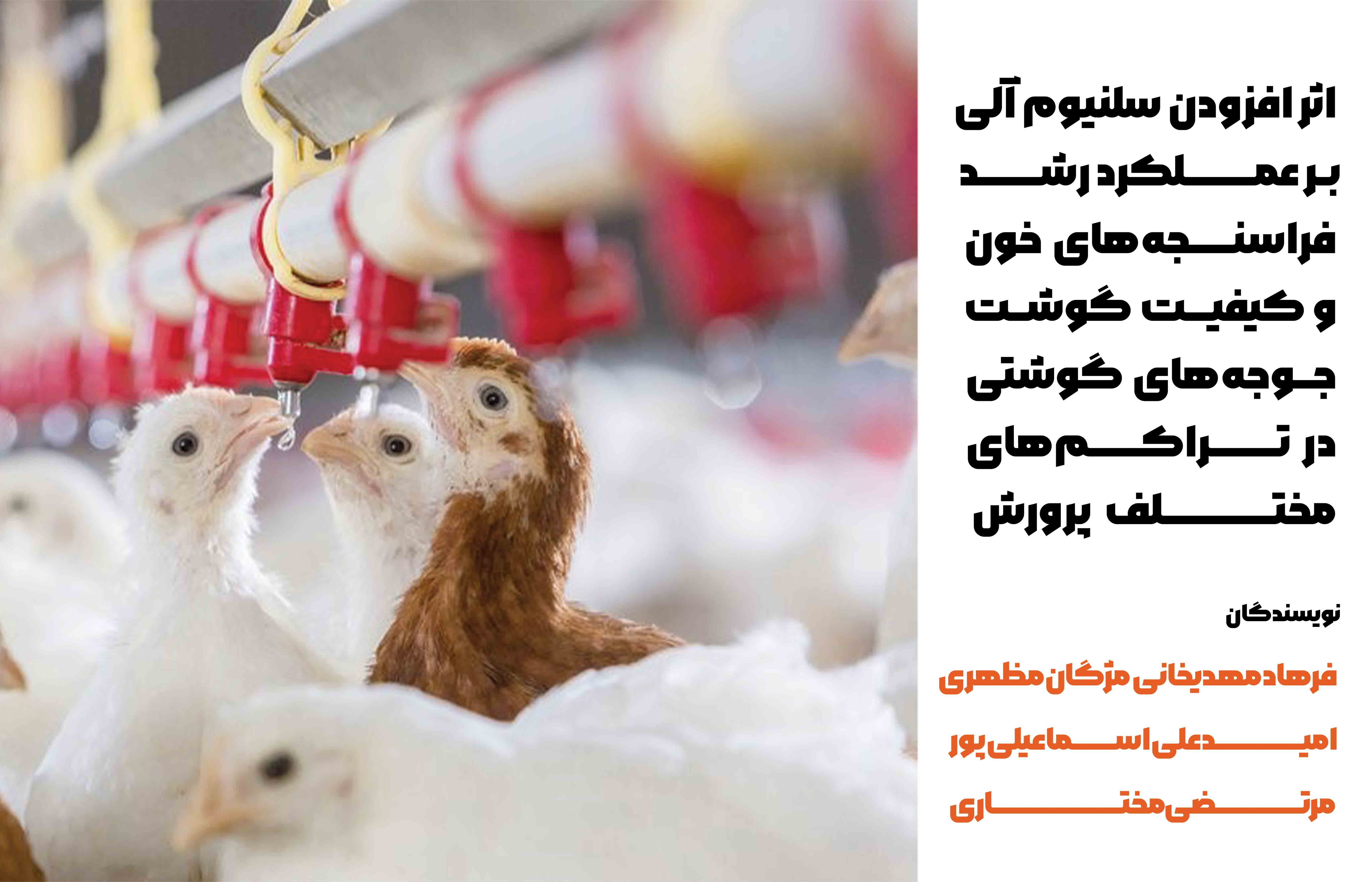 اثر افزودن سلنیوم آلی بر عملکرد رشد، فراسنجه‌های خون و کیفیت گوشت جوجه‌های گوشتی در تراکم‌های مختلف پرورش