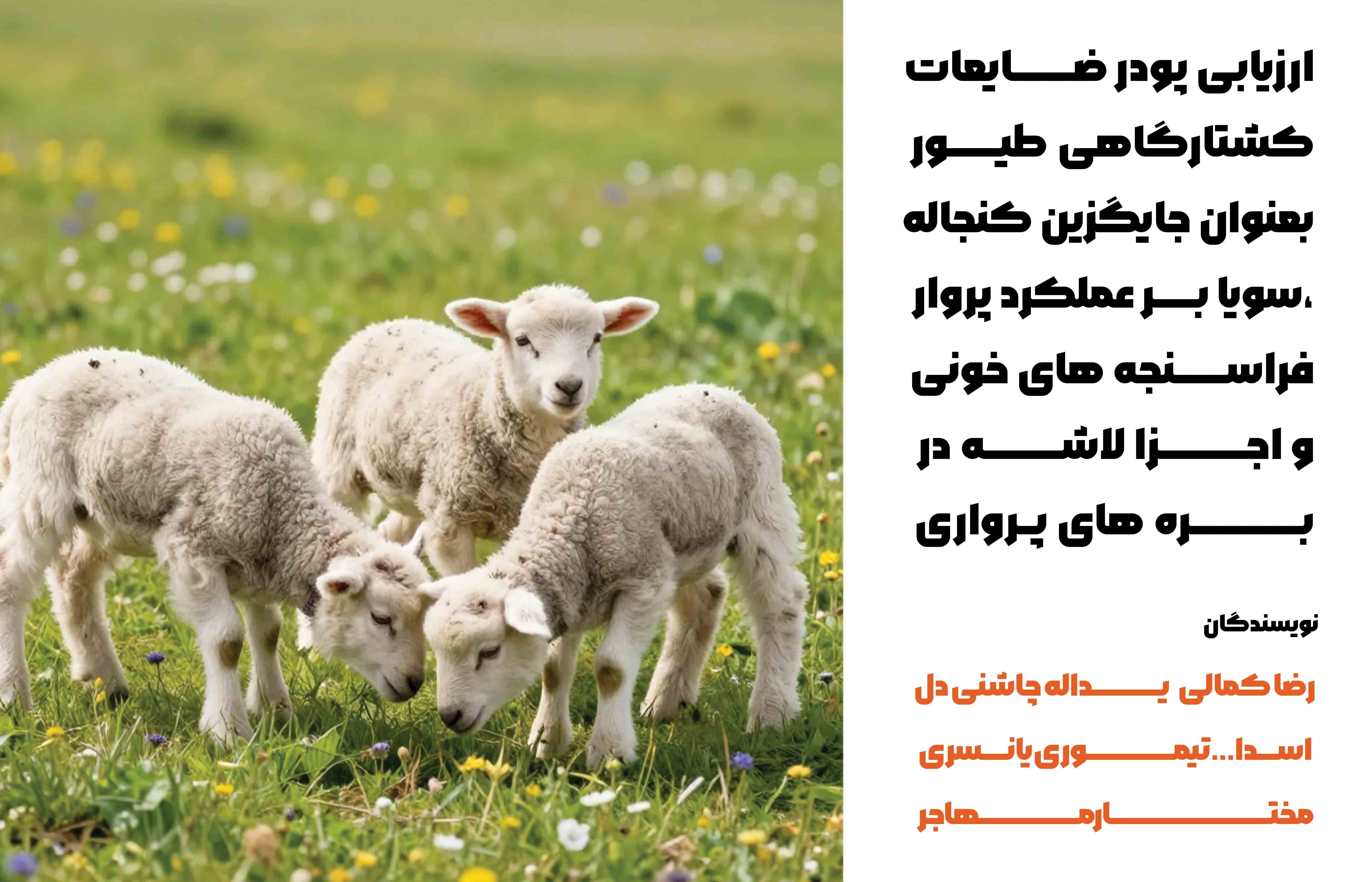 ارزیابی پودر ضایعات کشتارگاهی طیور بعنوان جایگزین کنجاله سویا بر عملکرد پروار، فراسنجه های خونی و اجزا لاشه در بره های پرواری