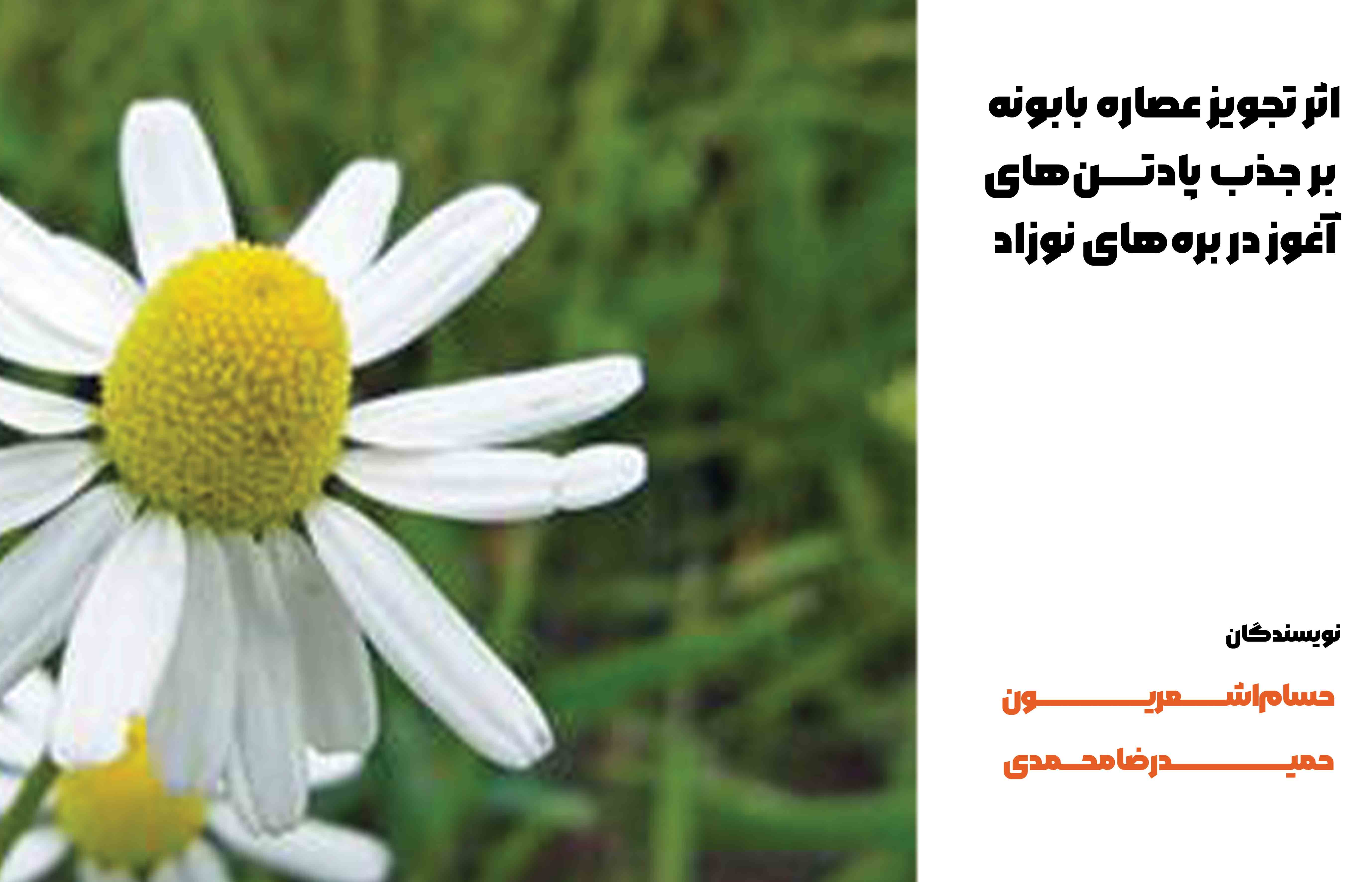 اثر تجویز عصاره بابونه (Matricaria recutita L.) بر جذب پادتن‌های آغوز در بره‌های نوزاد